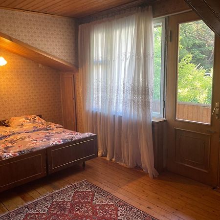 Guest House Raisa ดีลีจาน ภายนอก รูปภาพ
